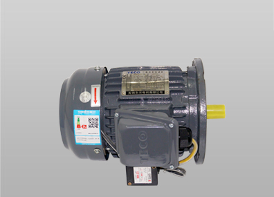 ETVF立式東元?jiǎng)x車電機(jī)